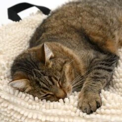 Cojín Para Mascotas Color Crema -KONG Ventas 104122 katze fg 5644 5