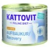 Kattovit Revitalizante (energía Extra) Con Pollo 1 Kattovit Revitalizante (energía Extra) Con Pollo -KONG Ventas 110114 pla finnern kattovit fd huhn aufbaukur 185g 7