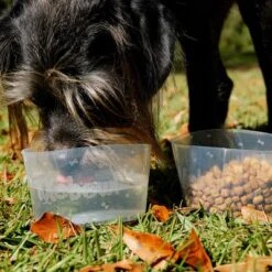 Comedero Plegable Mobowl -KONG Ventas 111118 texstar mobowl foldablebowl hs 02 9