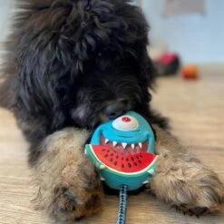 Max & Molly Bubba King Juguete De Látex Para Perros -KONG Ventas 191100 maxn molly kuscheltier spielzeug bubba king hs 04 5