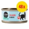 Pack Ahorro: Cosma Nature 48 X 70 G -KONG Ventas 1 563535 cosma nature 48x70g 4