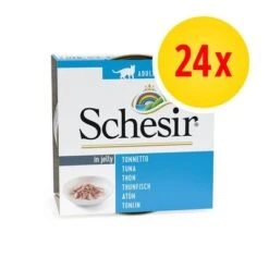 KONG Ventas 34 Pack Ahorro: Schesir En Gelatina 24 X 85 G