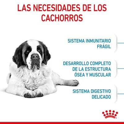 Royal Canin Giant Junior 7 Royal Canin Giant Junior - Imagen 5