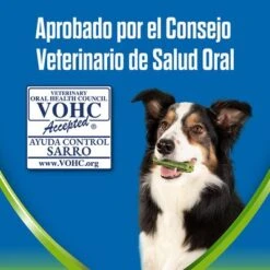 PURINA Dentalife Active Fresh Snacks Dentales Para Perros Medianos 16 PURINA Dentalife Active Fresh Snacks Dentales Para Perros Medianos -KONG Ventas 1 vohc 7