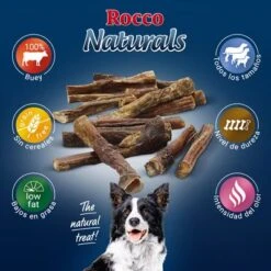 PROMO: 100 Uds. X Rocco Nervio De Buey 12 Cm 11 PROMO: 100 Uds. X Rocco Nervio De Buey 12 Cm -KONG Ventas 2019 09 rocco naturals pizzle 1000x1000 es 7
