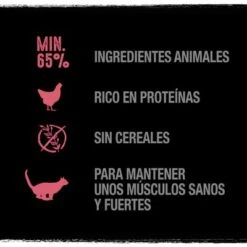 Crave 16 X 85 G En Bolsitas Para Gatos - Pack Mixto -KONG Ventas 2020 04 c benefits salmon chicken es 7