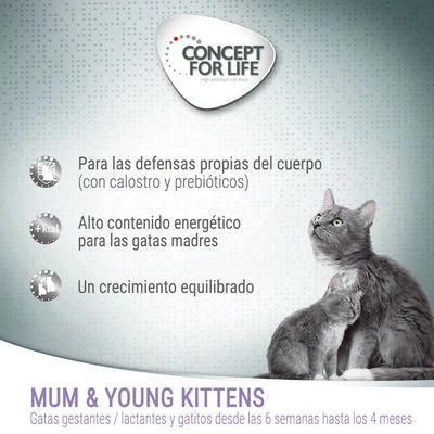 Concept For Life Mum & Young Kittens Mousse 4 Concept For Life Mum & Young Kittens Mousse - Imagen 2