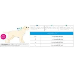 Collar Max & Molly Unicorn Con Smart ID Para Perros 14 Collar Max & Molly Unicorn Con Smart ID Para Perros -KONG Ventas 210397 209038 209039 210398 maxnmolly smartid halsband unicorn hs 07 8