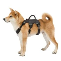 Arnés Ferplast Ergotrekking Negro -KONG Ventas 224508 224509 224510 ferplast ergotrekking geschirr schwarz hs 10 4