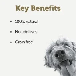 Applaws Taste Toppers En Bolsitas Para Perros 6 X 200 Ml -KONG Ventas 236303 applaws hund spout pouch beed 6x200ml hs 03 0