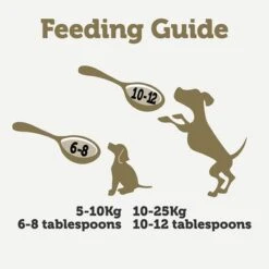 Applaws Taste Toppers En Bolsitas Para Perros 6 X 200 Ml -KONG Ventas 236303 applaws hund spout pouch beed 6x200ml hs 04 4