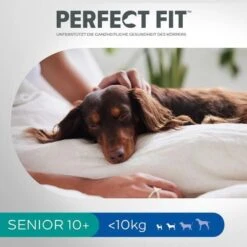Perfect Fit Senior Small Dogs (<10 Kg) Pienso Para Perros -KONG Ventas 255596 perfectfit senior hund 6kg hs 09 0