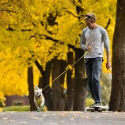 Correa RUFFWEAR Hi & Light Para Perros -KONG Ventas 262501 accapi ruffwear hi light leash lichengreen hs 13 5