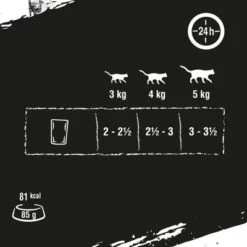 Crave 16 X 85 G En Bolsitas Para Gatos - Pack Mixto -KONG Ventas 286001 mars crave pouch multipack trunfisch 85g hs 05 4