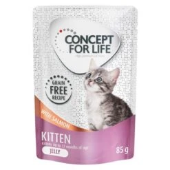 Concept For Life Kitten Sin Cereales Con Salmón En Salsa