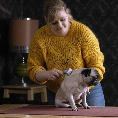 Peine Moser Para El Subpelo De Las Mascotas 5 Peine Moser Para El Subpelo De Las Mascotas - Imagen 3