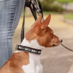 Collar Hurtta Bare Carbón Para Perros -KONG Ventas 291297 291298 288343 291396 hurtta bare halsband coal hs 09 6