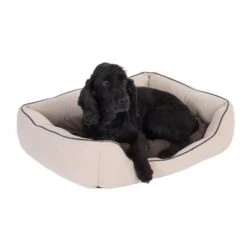 Cama Para Mascotas Vanilla -KONG Ventas 300410 kuschelbett vanilla l70 05 09 2012 dsc0773 0