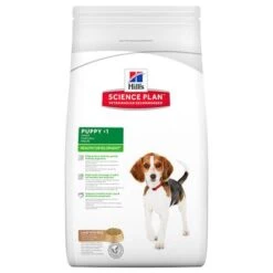 Hill's Science Plan Hill's Puppy <1 Medium Science Plan Con Cordero Y Arroz -KONG Ventas 32390 pla hill s caninepuppy lambrice 3