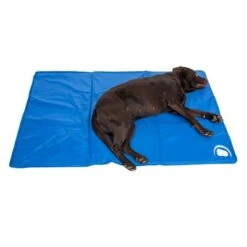 Esterilla Refrigerante Keep Cool 28 Esterilla Refrigerante Keep Cool -KONG Ventas 329015 kuehlmatte keep cool fg 6752 0