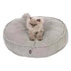 TIAKI Cojín De Peluche Conner Para Mascotas -KONG Ventas 343497 kuschelkissen conner cat fg 8509 8