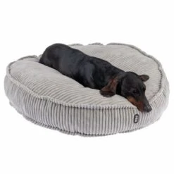 KONG Ventas -KONG Ventas 343497 kuschelkissen conner fg 8284 8