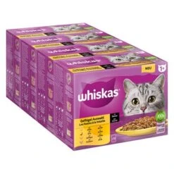 Megapack Whiskas 1+ Años 48 X 85 G En Bolsitas -KONG Ventas 355701 pla megapack whiskas 1plus adult frischebeutel geflugel 48x85g hs 01 3