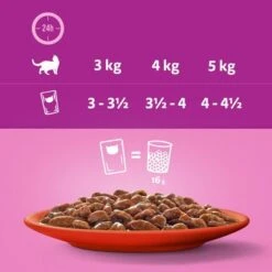 Whiskas 1+ Años 96 X 85 En Bolsitas 28 Whiskas 1+ Años 96 X 85 En Bolsitas -KONG Ventas 356096 mars sparpaket whiskas frischebeutel 48x85g hs 07 0