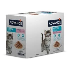 Advance Kitten Con Pavo Comida Húmeda Para Gatos -KONG Ventas 374596 affinity advance kitten truthahn hs 02 3