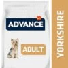 Advance Yorkshire Terrier Adult -KONG Ventas 384796 advance mini yorkshireterrier hs 02 6
