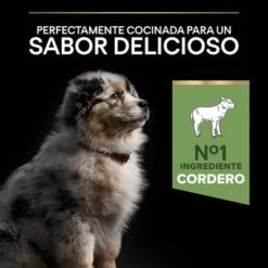Purina Pro Plan Medium Puppy Sensitive Digestion Cordero Y Arroz -KONG Ventas 44142631 es es 221230 1 6