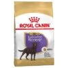 Royal Canin Sterilised Labrador Retriever Adult 2 Royal Canin Sterilised Labrador Retriever Adult -KONG Ventas 61153 pla royalcanin adulthund labradotsterilised 6