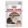 Royal Canin Ageing +12 En Salsa 1 Royal Canin Ageing +12 En Salsa -KONG Ventas 61275 pla royalcanin ageing 12 sosse 1