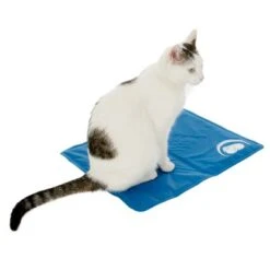 Esterilla Refrigerante Keep Cool 29 Esterilla Refrigerante Keep Cool -KONG Ventas 69772 kuehlmatte keep cool fg 3780 8