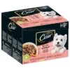 Cesar Favoritos En Salsa -KONG Ventas 74711 pla cesar feines selectioninsauce 24x100g 1