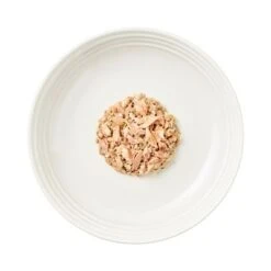 Encore En Latas 16 X 70 G Comida Húmeda Para Gatos -KONG Ventas 82373 encore cattin oceanfish hs 03 8