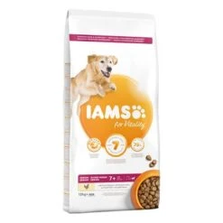 IAMS For Vitality Senior & Mature Large Con Pollo Fresco
