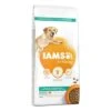 IAMS For Vitality Weight Control Con Pollo Fresco -KONG Ventas 83716 pla iams dog weight control 12kg 8