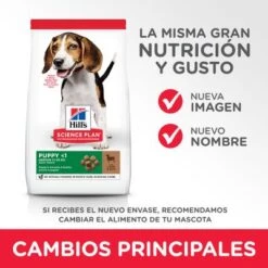 Hill's Science Plan Hill's Puppy <1 Medium Science Plan Con Cordero Y Arroz -KONG Ventas atf11 604335 key changes 0