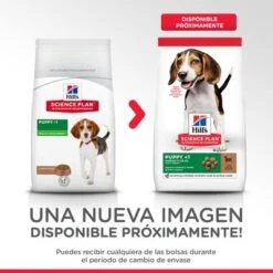 Hill's Science Plan Hill's Puppy <1 Medium Science Plan Con Cordero Y Arroz -KONG Ventas atf12 604335 packaging transition 8