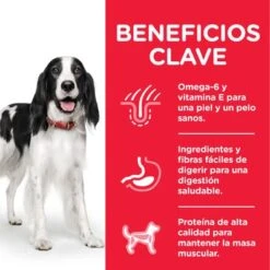 Hill's Science Plan Hill's Adult 1-6 Medium Science Plan Con Cordero Y Arroz -KONG Ventas atf8 604354 key benefits 1