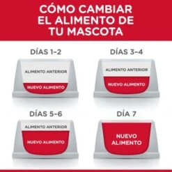 Hill's Science Plan Hill's Perfect Weight Sobres Para Gatos -KONG Ventas es cat food transition 1 1