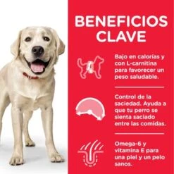 Hill's Science Plan Hill's Adult 1-5 Light Large Science Plan Con Pollo -KONG Ventas es dog adult large light chicken transition benefits 1 8