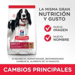 Hill's Science Plan Hill's Adult 1-6 Medium Science Plan Con Cordero Y Arroz -KONG Ventas es dog adult medium lamb transition summary of changes 1 9