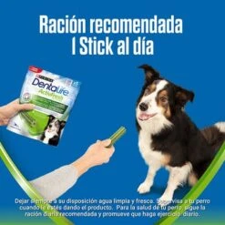 PURINA Dentalife Active Fresh Snacks Dentales Para Perros Medianos 19 PURINA Dentalife Active Fresh Snacks Dentales Para Perros Medianos -KONG Ventas m 2 5