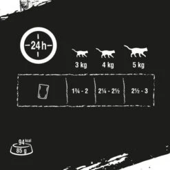 Crave 16 X 85 G En Bolsitas Para Gatos - Pack Mixto -KONG Ventas new project 2022 09 08t104641 864 4