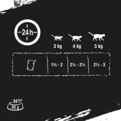 Crave 16 X 85 G En Bolsitas Para Gatos - Pack Mixto -KONG Ventas new project 2022 09 08t104703 911 1