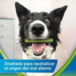 PURINA Dentalife Active Fresh Snacks Dentales Para Perros Medianos 13 PURINA Dentalife Active Fresh Snacks Dentales Para Perros Medianos -KONG Ventas objective 8
