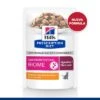 Hill's Prescription Diet Gastrointestinal Biome Con Pollo Sobres Para Gatos -KONG Ventas pd gi biome pouch cat bk33731m new formula es 2