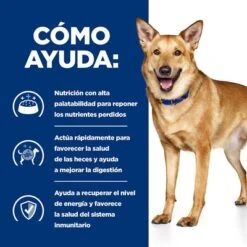 Hill's I/d Prescription Diet Latas Para Perros -KONG Ventas pd id dog bk30978m bk31617 bk30920 how helps es 6